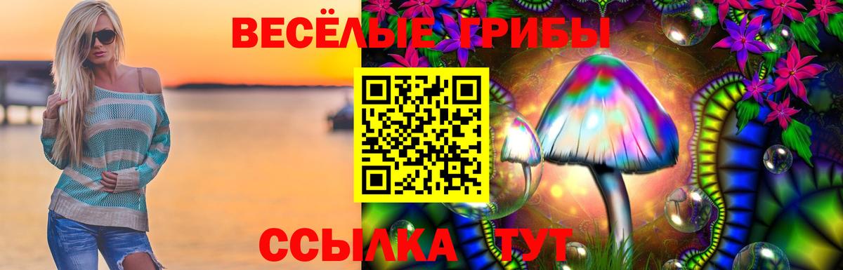 Псилоцибиновые грибы GOLDEN TEACHER Сызрань